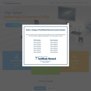 TECHMINDS NETWORKS  website