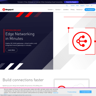  MegaIX Brisbane Route Servers  website