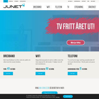 Junet AB  website