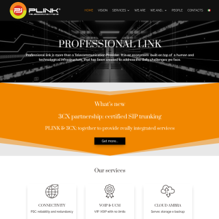 Professional Link  website
