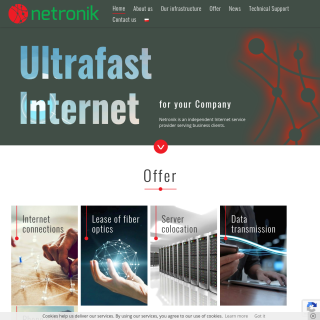 NETRONIK  website