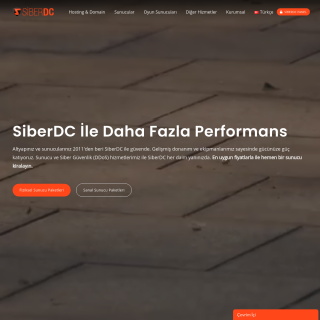  SiberDC  website