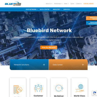 Bluebird Network  website