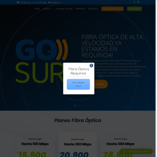  SERVICIO DE INGENIERIA GOSUR  aka (Gosur)  website