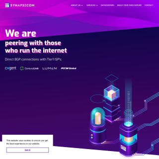Synapsecom Telecoms  website