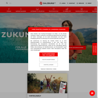 Salzburg AG  website