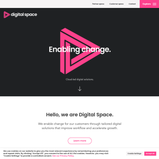 Digital Space Group Ltd  website