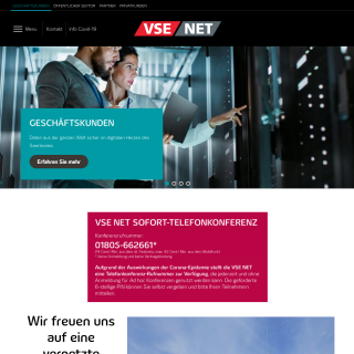  VSE NET GmbH  aka (ARTELIS)  website